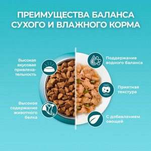 Влажный корм Purina ONE для взрослых кошек, с говядиной и морковью, пауч, 75г
