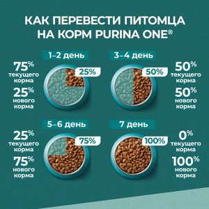 Корм для кошек Purina ONE® Природа Здоровья® со спирулиной, с высоким содержанием курицы, 180 г