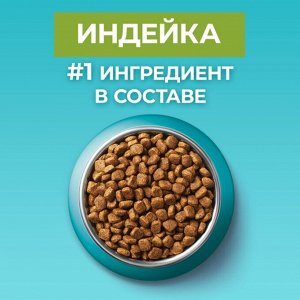 Сухой корм Purina ONE® полнорационный для кошек с чувствительным пищеварением, с высоким содержанием индейки, 1,5 кг