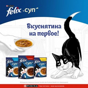 Влажный корм Felix Суп для взрослых кошек, с говядиной, пауч, 48г