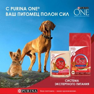 Влажный корм Purina ONE Мини для активных взрослых собак мелких и карликовых пород, с говядиной, картофелем и морковью в подливе 85 г