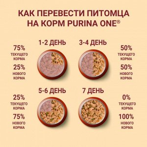Влажный корм Purina ONE Мини для активных взрослых собак мелких и карликовых пород, с говядиной, картофелем и морковью в подливе 85 г