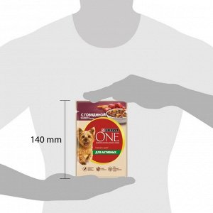 Влажный корм Purina ONE Мини для активных взрослых собак мелких и карликовых пород, с говядиной, картофелем и морковью в подливе 85 г