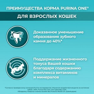Корм для кошек сухой Purina ONE® полнорационный, с высоким содержанием курицы, 200 г