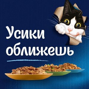 Влажный корм Felix Sensations для взрослых кошек, с уткой в соусе с морковью 75 г