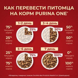 Сухой корм для собак Purina ONE® мелких и карликовых пород, с высоким содержанием говядины и с рисом, 3 кг