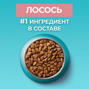 Сухой корм для кошек Purina ONE® для стерилизованных кошек и кастрированных котов, с высоким содержанием лосося, 200 г