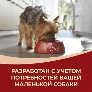Сухой корм Purina ONE® для собак мелких пород с активным образом жизни, с высоким содержанием курицы и с рисом, Пакет, 600 г