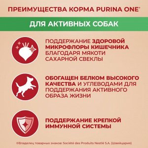 Сухой корм Purina ONE® для собак мелких пород с активным образом жизни, с высоким содержанием курицы и с рисом, Пакет, 600 г