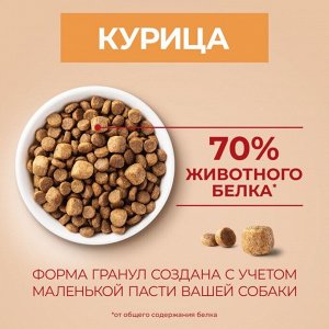 Сухой корм Purina ONE® для собак мелких пород с активным образом жизни, с высоким содержанием курицы и с рисом, Пакет, 600 г