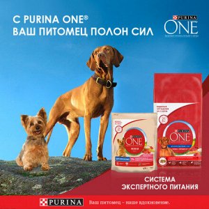 Влажный корм Purina ONE Мини Контроль веса для взрослых собак мелких пород, с курицей, коричневым рисом и томатами в подливе 85 г