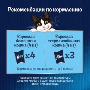 Влажный корм Felix Sensations Супервкус для кошек, со вкусом говядины и сыра, в желе 75 г