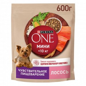 Сухой корм Purina ONE® Мини Чувствительная для взрослых собак мелких пород с чувствительным пищеварением, с лососем и рисом, Пакет, 600 г