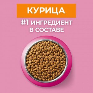 Сухой корм для котят Purina ONE® полнорационный, с высоким содержанием курицы, 200 г
