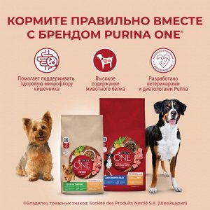 Корм для собак Purina ONE® МИНИ Здоровый вес для собак мелких пород, склонных к набору веса, с высоким содержанием индейки и с рисом, Пакет, 600 г