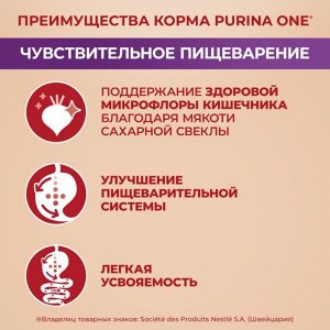 Сухой корм Purina ONE® Мини Чувствительная для взрослых собак мелких пород с чувствительным пищеварением, с лососем и рисом, Пакет, 600 г