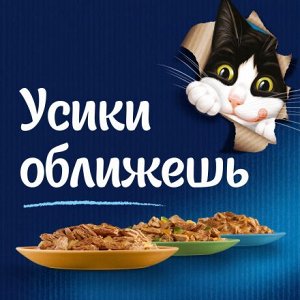 Влажный корм Felix Sensations Супервкус для кошек, со вкусом говядины и сыра, в желе 75 г