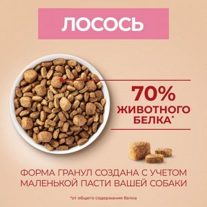 Сухой корм Purina ONE® Мини Чувствительная для взрослых собак мелких пород с чувствительным пищеварением, с лососем и рисом, Пакет, 600 г
