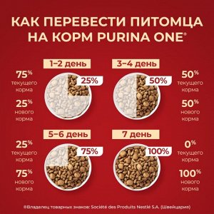 Сухой корм Purina ONE® Мини Чувствительная для взрослых собак мелких пород с чувствительным пищеварением, с лососем и рисом, Пакет, 600 г