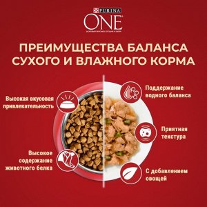 Корм для собак Purina ONE® МИНИ Здоровый вес для собак мелких пород, склонных к набору веса, с высоким содержанием индейки и с рисом, Пакет, 600 г