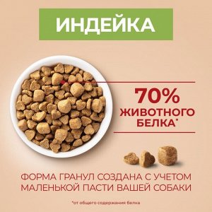 Корм для собак Purina ONE® МИНИ Здоровый вес для собак мелких пород, склонных к набору веса, с высоким содержанием индейки и с рисом, Пакет, 600 г