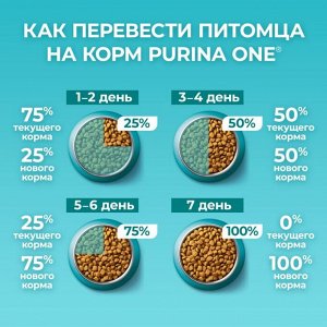 Корм для кошек сухой Purina ONE® полнорационный для взрослых кошек, живущих в домашних условиях, с высоким содержанием индейки, 200 г