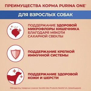 Корм для собак Purina ONE® для взрослых собак средних и крупных пород, с высоким содержанием ягненка и рисом, 3,8 кг