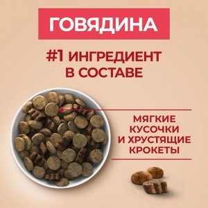 Сухой корм Purina ONE® для взрослых собак средних и крупных пород, с высоким содержанием говядины и с рисом, Пакет, 1,8 кг