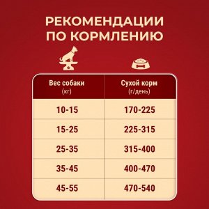 Сухой корм Purina ONE® для взрослых собак средних и крупных пород, с высоким содержанием говядины и с рисом, Пакет, 1,8 кг