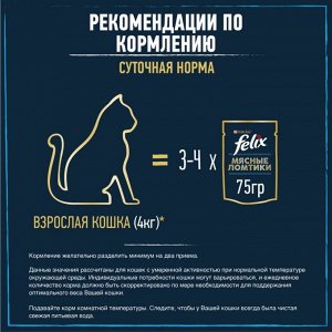 Корм для кошек FELIX Мясные Ломтики, Корм консервированный полнорационный для взрослых кошек, с говядиной 75г