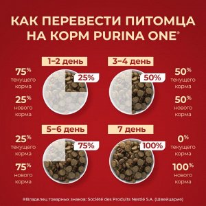 Корм для собак Purina ONE® для взрослых собак средних и крупных пород, с высоким содержанием ягненка и рисом, 3,8 кг