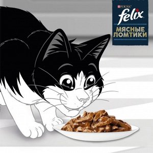 Корм для кошек FELIX Мясные Ломтики, Корм консервированный полнорационный для взрослых кошек, с говядиной 75г