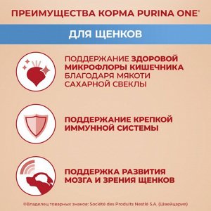 Сухой корм для собак Purina ONE® средних и крупных пород, с высоким содержанием курицы и с рисом, Пакет, 1,8 кг