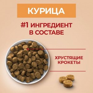Сухой корм для собак Purina ONE® средних и крупных пород, с высоким содержанием курицы и с рисом, Пакет, 1,8 кг
