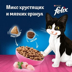 Сухой корм для котят Felix® Двойная Вкуснятина® до года, с курочкой, Пакет, 600 г