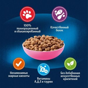 Сухой корм для котят Felix® Двойная Вкуснятина® до года, с курочкой, Пакет, 600 г