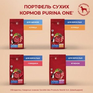 Сухой корм для собак Purina ONE® средних и крупных пород, с высоким содержанием курицы и с рисом, Пакет, 1,8 кг