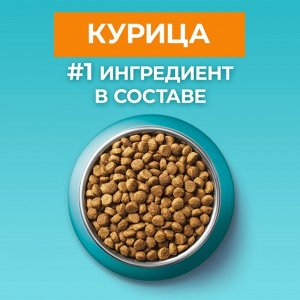Сухой корм Purina ONE® полнорационный для кошек старше 11 лет, с высоким содержанием курицы, 750 г