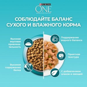 Сухой корм Purina ONE® полнорационный для кошек старше 11 лет, с высоким содержанием курицы, 750 г