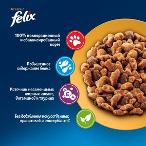 Сухой корм Felix Мясное объедение для взрослых кошек, с курицей 600 г