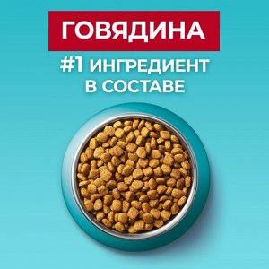 Сухой корм Purina ONE® полнорационный для взрослых кошек, с высоким содержанием говядины, 750 г