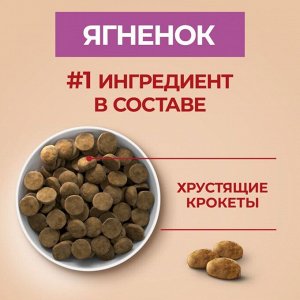 Корм для собак Purina ONE® для взрослых собак средних и крупных пород, с высоким содержанием ягненка и рисом, 3,8 кг