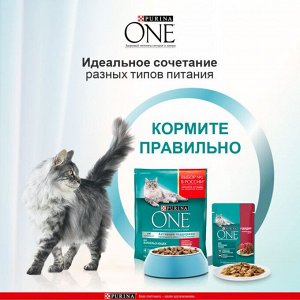Влажный корм Purina ONE для взрослых кошек, с говядиной и морковью, пауч, 75г