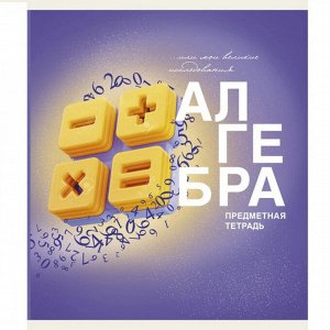 Тетрадь предметная 40 л клетка Алгебра