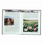 Книги. Детские книги. Энциклопедии