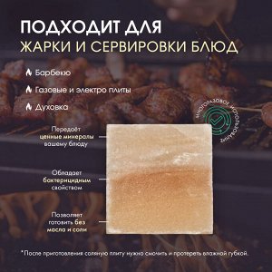 Кирпич из иранской горной соли, 10?10?3 см, микс