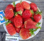 Солнечная полянка