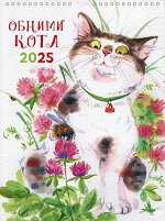 Обними кота