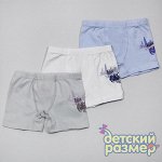 Боксеры (2 шт)