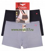 Трусы мужские &quot;Слава&quot; (большие размеры, хлопок) №F3001